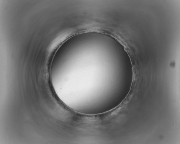 X0000090460245200707272243