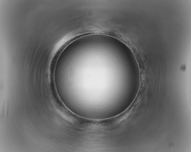 X0000090460246200707272243