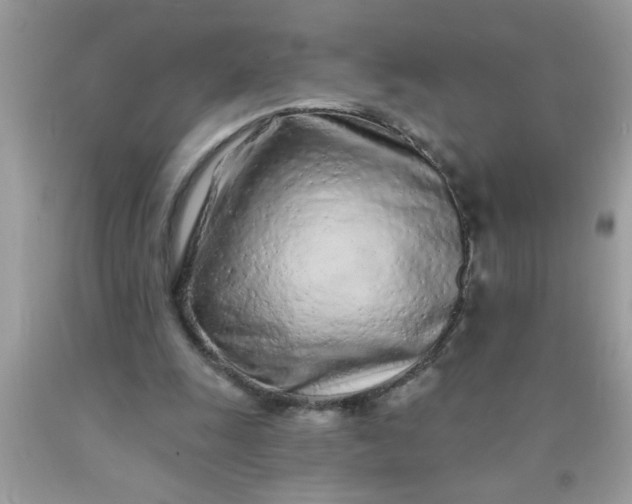 X0000090460247200707272243