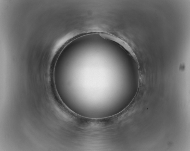 X0000090460248200707272243