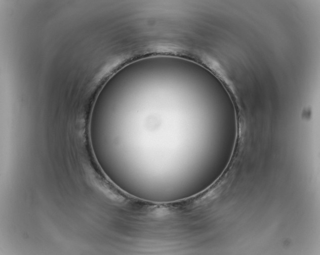 X0000090460249200707272243