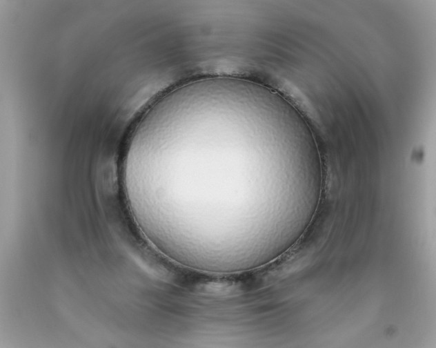 X0000090460251200707272243