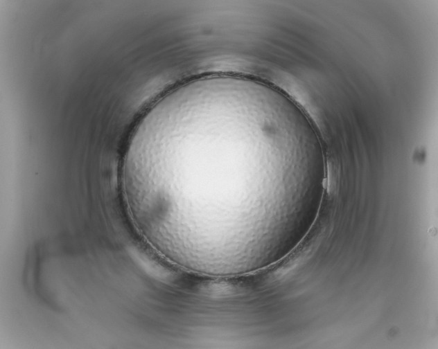 X0000090460253200707272243