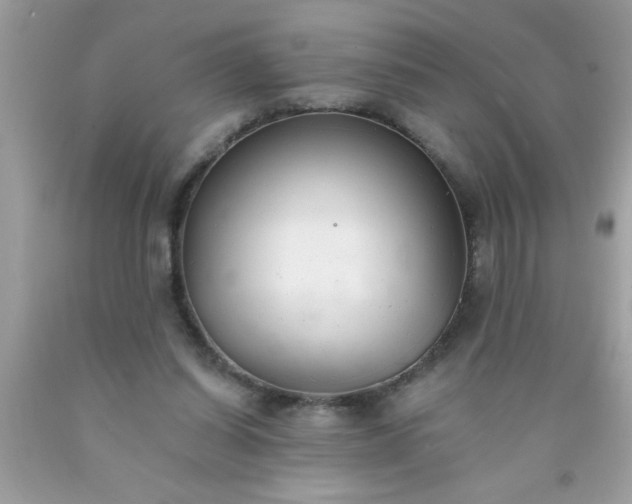 X0000090460254200707272243