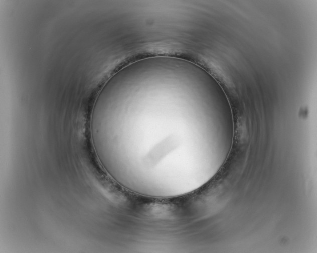 X0000090460255200707272243