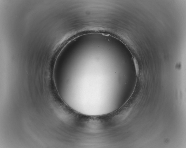 X0000090460256200707272243