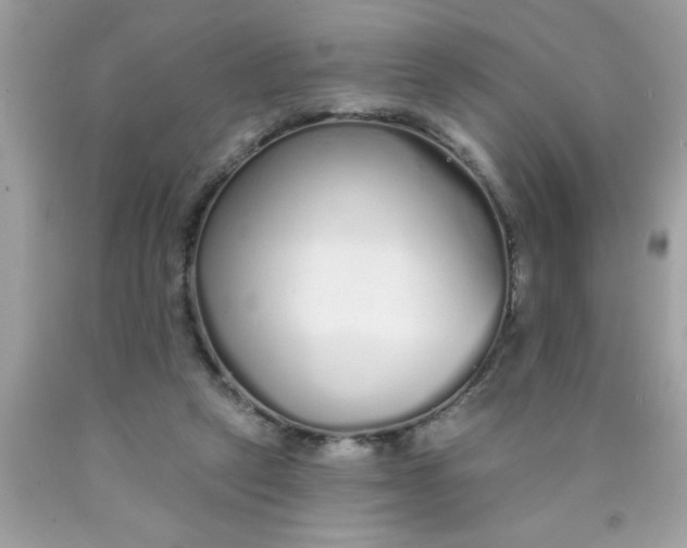 X0000090460257200707272243