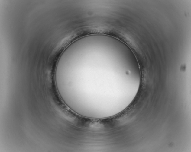 X0000090460258200707272243