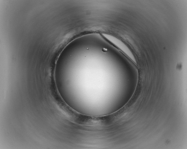 X0000090460260200707272243
