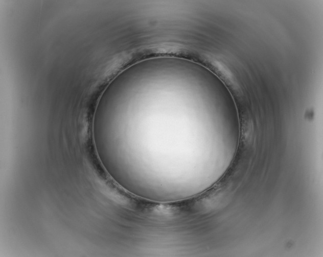 X0000090460261200707272243
