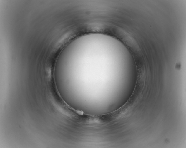 X0000090460262200707272243