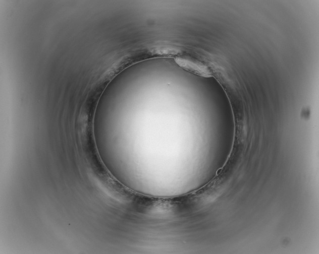 X0000090460263200707272243