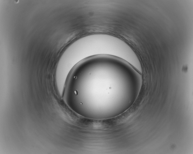 X0000090460264200707272243
