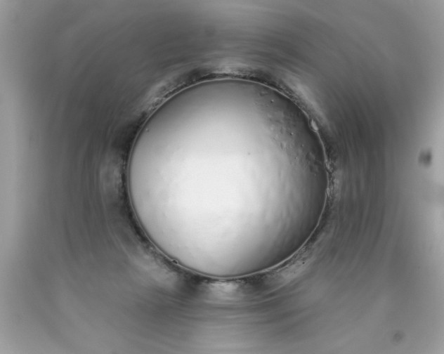 X0000090460265200707272243