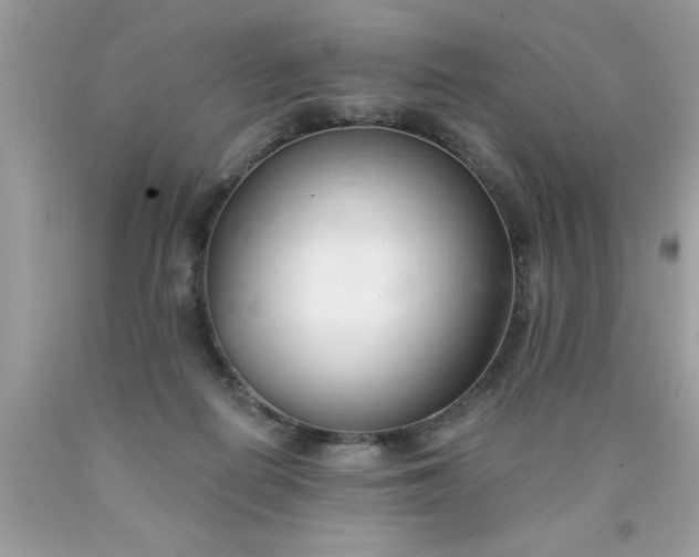 X0000090460266200707272243