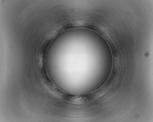 X0000090460267200707272243