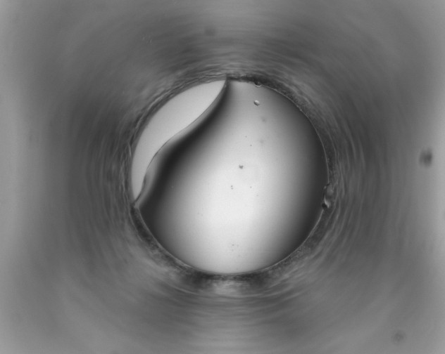 X0000090460268200707272243