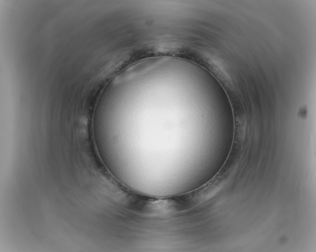 X0000090460269200707272243