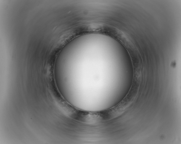 X0000090460270200707272243