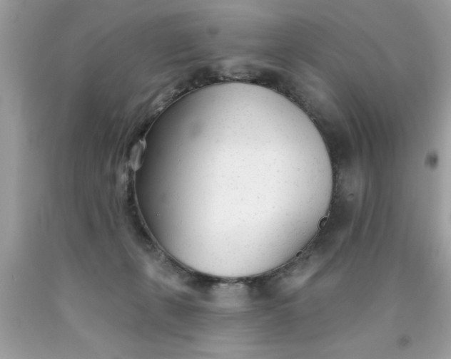 X0000090460271200707272243