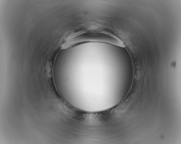 X0000090460273200707272243