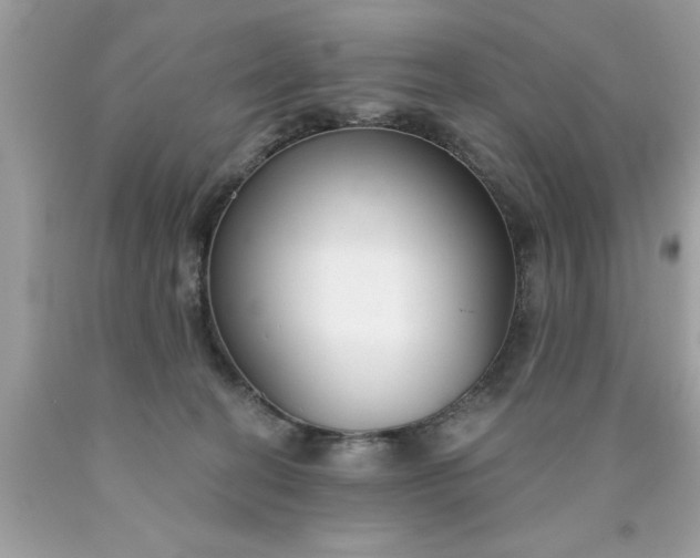 X0000090460274200707272243