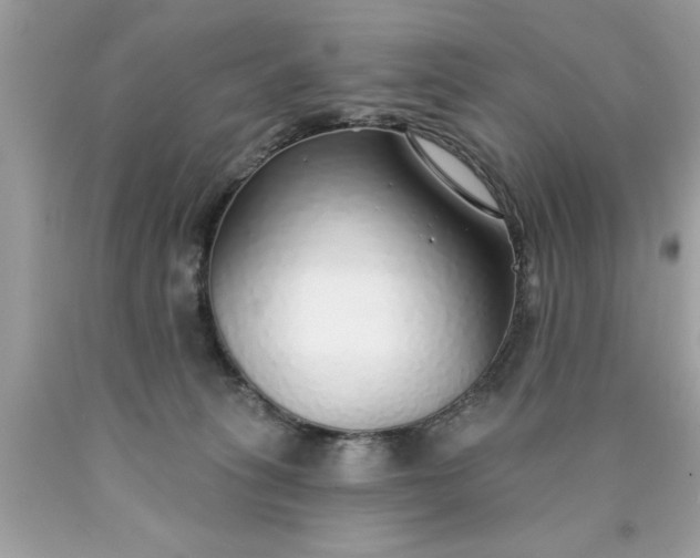 X0000090460275200707272243
