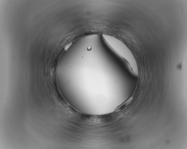 X0000090460276200707272243