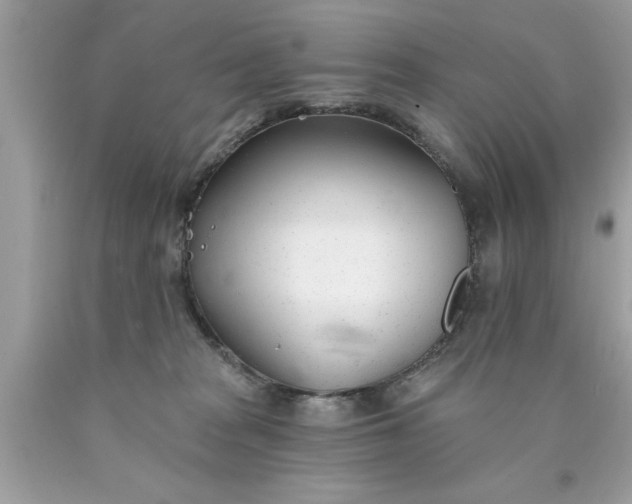 X0000090460277200707272243
