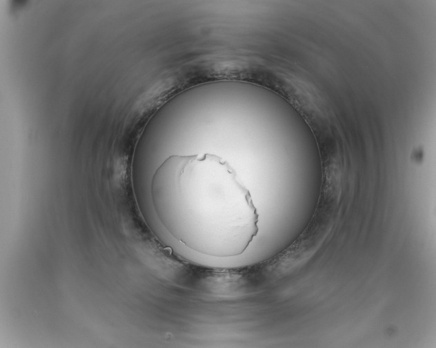 X0000090460278200707272243