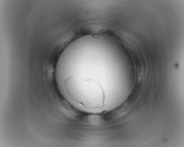 X0000090460279200707272243