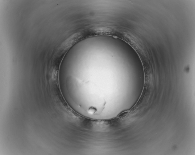 X0000090460281200707272243