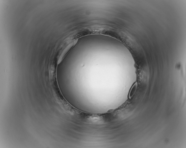 X0000090460283200707272243