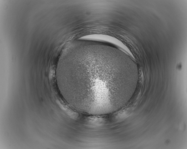 X0000090460284200707272243