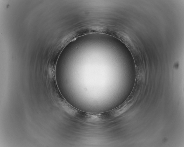 X0000090460285200707272243