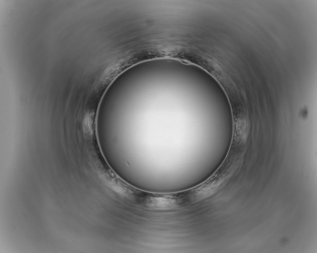 X0000090460286200707272243