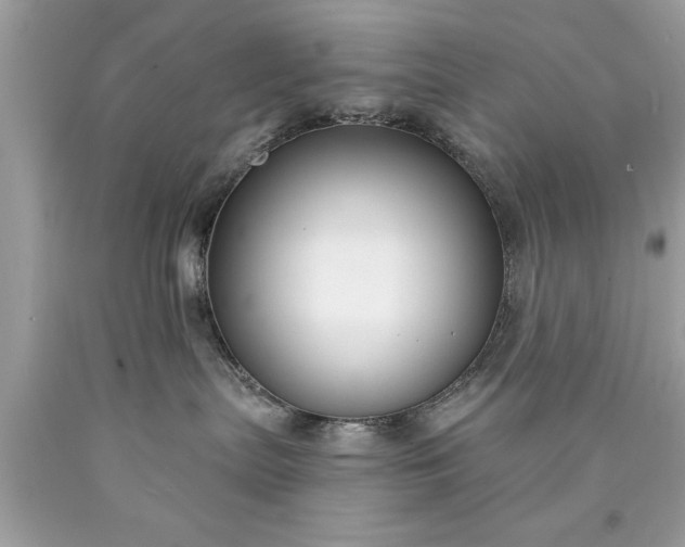 X0000090460287200707272243