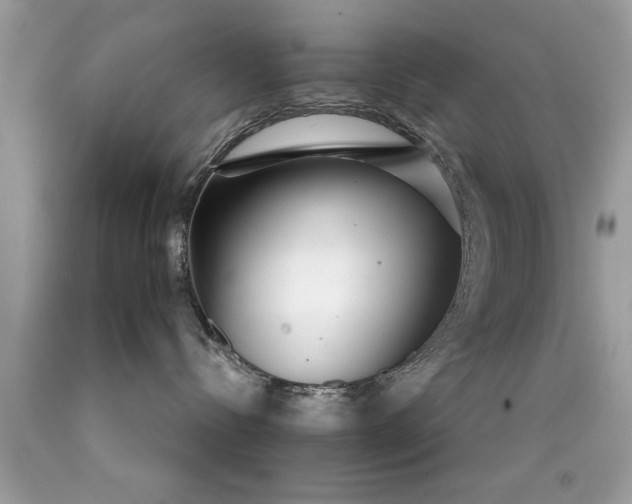 X0000090460288200707272243