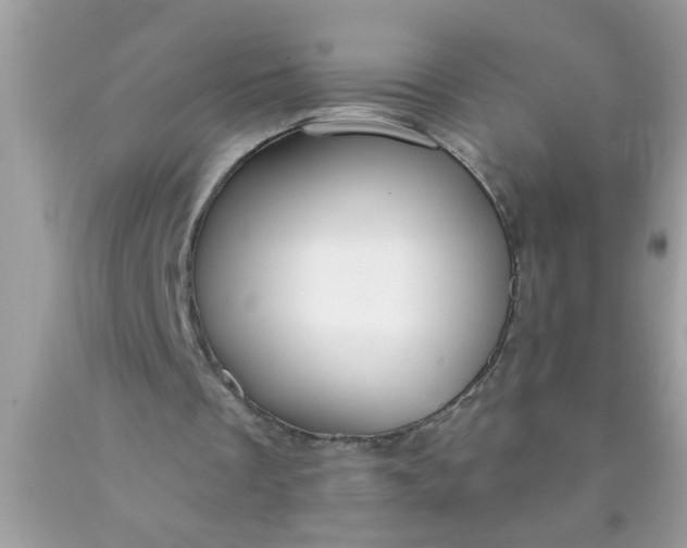 X0000090460289200707272243