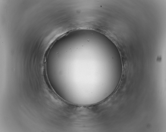 X0000090460290200707272243