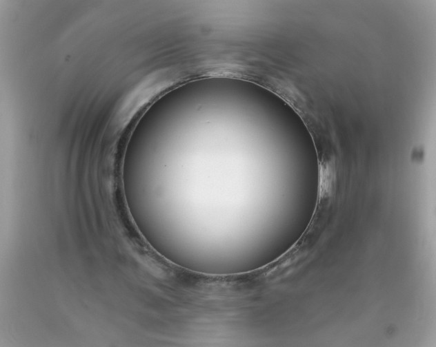 X0000090460291200707272243