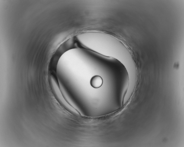 X0000090460293200707272243