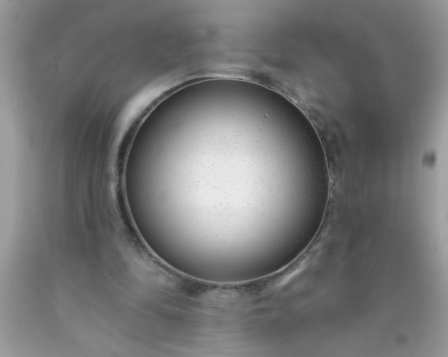X0000090460294200707272243