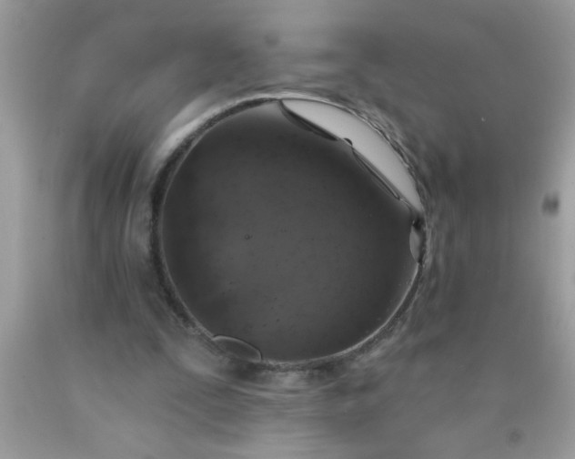 X0000090460295200707272243