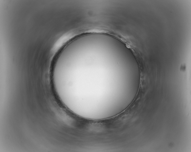 X0000090460296200707272243