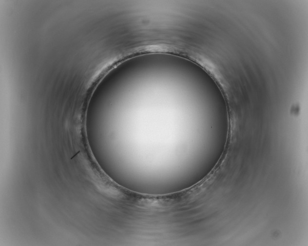 X0000090460297200707272243