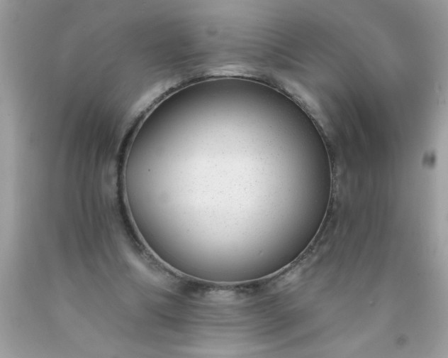 X0000090460298200707272243