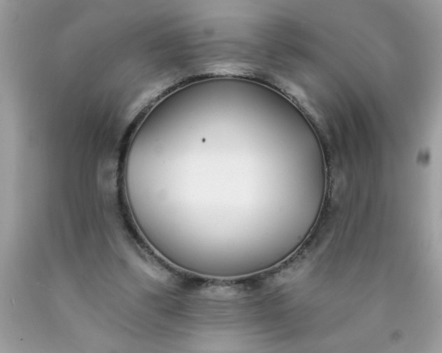 X0000090460299200707272243