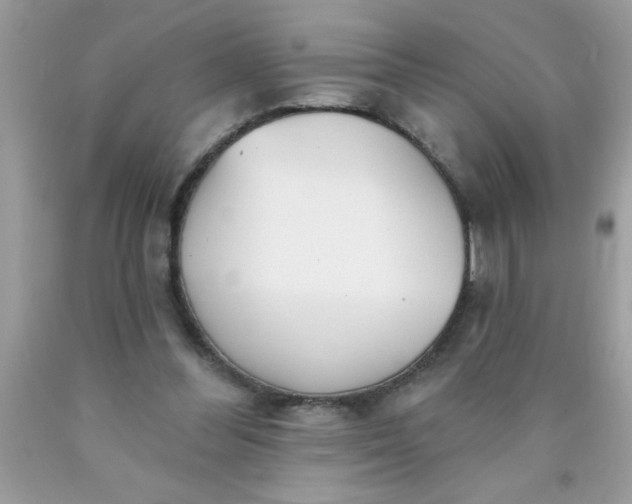 X0000090460300200707272243