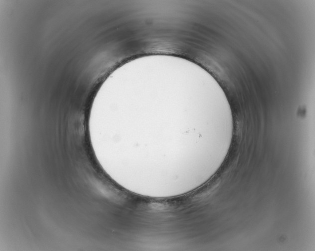 X0000090460302200707272243